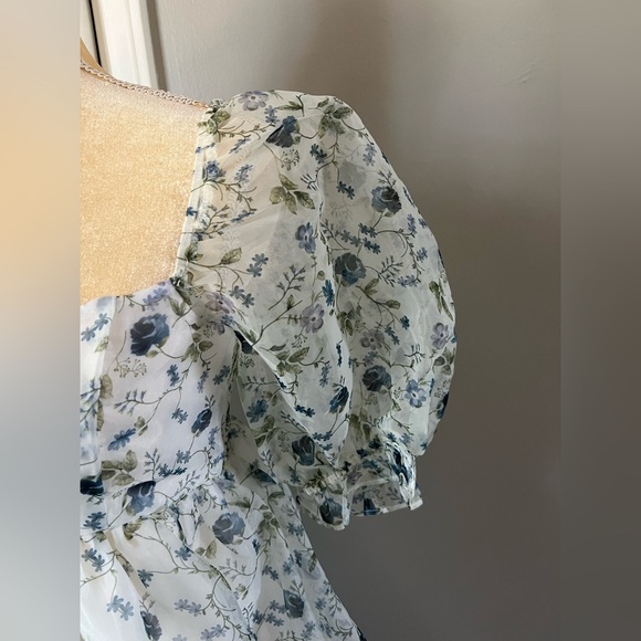 NWT Audrey Parks x Francesca’s Asha Floral Chiffon Babydoll Mini Dress Size S - Picture 6 of 14